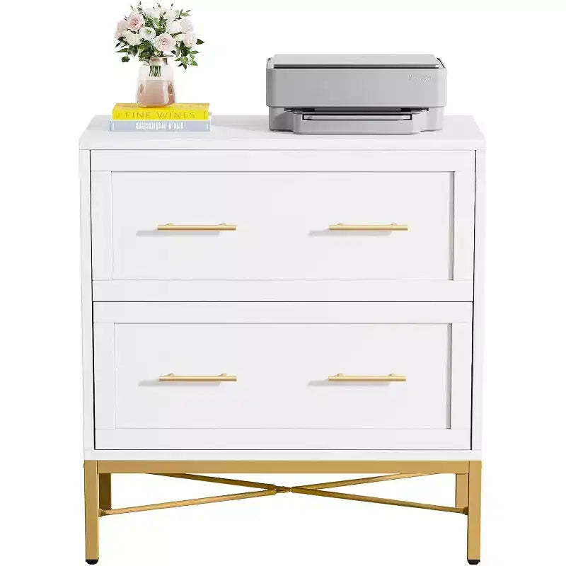 Tribesigns Lateral Filing Cabinet, 2-Drawer File Storage Cabinet